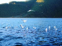 -丽江泸沽湖景区-里格半岛
