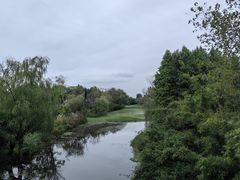 -溱湖国家湿地公园