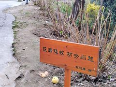 -寂照庵