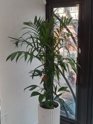 -魔型社烫染店