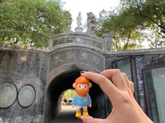 -保定市动物园