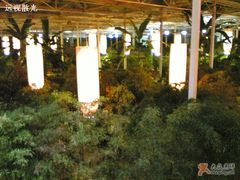 环境-绿色时代大酒店