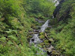 -凤凰山国家森林公园