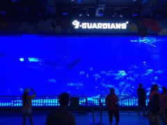 -烟台海昌鲸鲨海洋公园