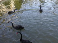 -蓬莱欧乐堡梦幻世界