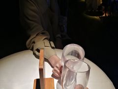 -武汉知音号