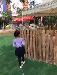 -萌宠亲子动物乐园(槐房万达店)