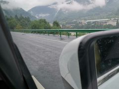 -中国大熊猫保护研究中心雅安碧峰峡基地