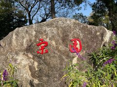 -江心屿景区