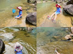 -广州白江湖森林公园