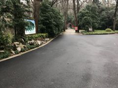 -灵谷景区