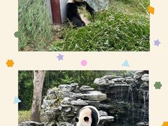 -杭州野生动物世界