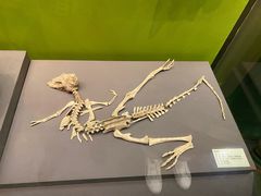 -天津自然博物馆