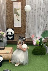 -水晶BABY儿童摄影(世界公园店)
