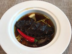 -诺莱仕游艇会