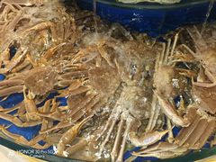 -海景壹号大酒店(滨湖店)