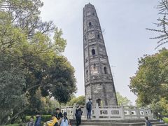 -上海佘山国家森林公园天马山园