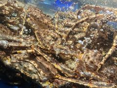 -徐记海鲜(大明宫|北二环店)