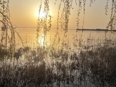 -苏州湾体育公园