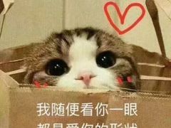 -狐狸和向日葵(北京路店)