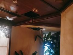 -紫莲花足道(柯桥古镇店)