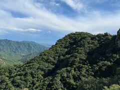 -大岭沟猕猴桃谷风景区