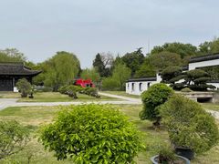 -扬州大运河文化旅游度假区·盆景园