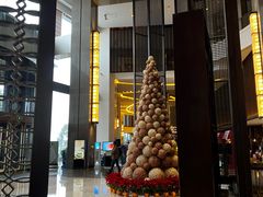 -舟山希尔顿酒店