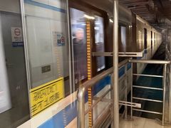 -东方体育中心(地铁站)