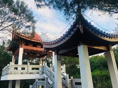 -八仙山公园
