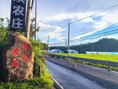 -李东农庄(中南百草园地标店)