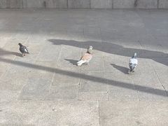 -太阳门广场