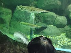 -苏州海洋馆
