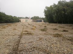 -金星公园