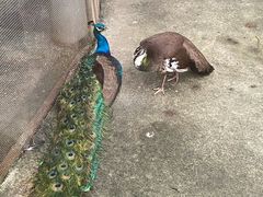 -厦门园林博览苑