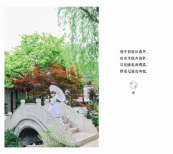 -蜜糖派儿童摄影(青建·太阳岛店)