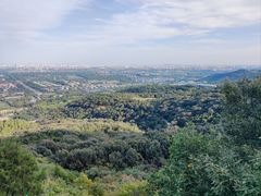 -北京西山国家森林公园