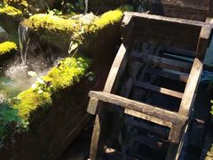 -青城山