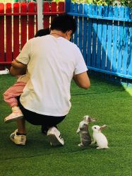 -萌宠亲子动物乐园(槐房万达店)