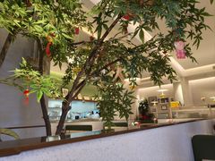 -Aqua Oasis 水天堂(太湖中心mall店)