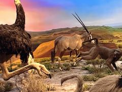 -国家自然博物馆