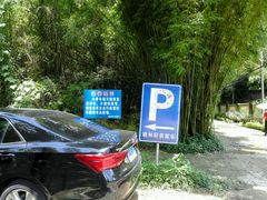 -姚林轩