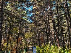 -帽儿山国家森林公园