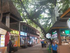 -海南分界洲岛旅游区