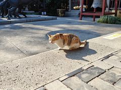 -梦姑塘文化公园