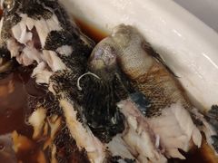 -丰收日·小海鲜·沪上家宴(顾村正大店)