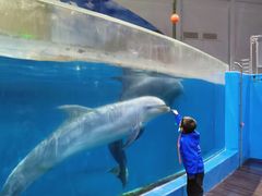 -福州罗源湾海洋世界旅游区