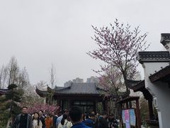 -堤角公园