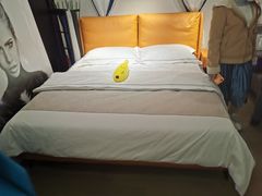 -红星美凯龙(东北全球家居1号店)