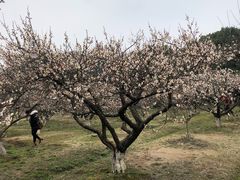 -白马涧龙池景区